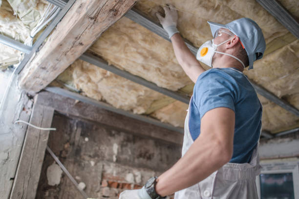 Best Specialty Insulation in Krum, TX